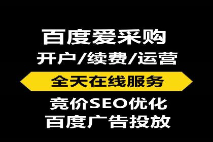 百度竞价代理的投放技巧与效果评估案例